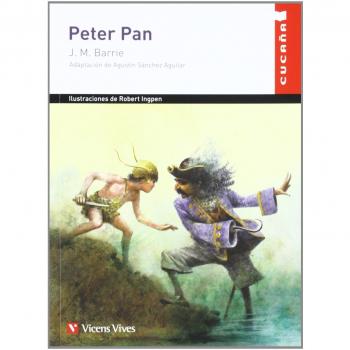 Peter Pan by Barrie, J. M. | Book | condition good