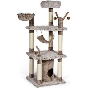 Brown Cream Siberian Cat Haven