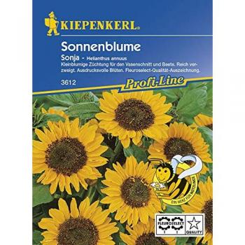F1 Sonnenblume 'Sonja' Blumensamen