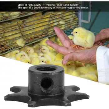 Engrenage pour moteur d'incubation 2 pièces