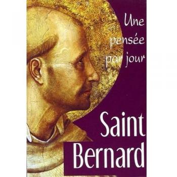 Saint bernard: une pensee par jour
