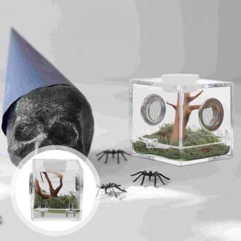 Caja de suministro para reptiles