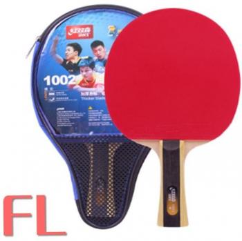 DHS Table Tennis Bat Set with Pips-In Rubber and 1-Star Case
