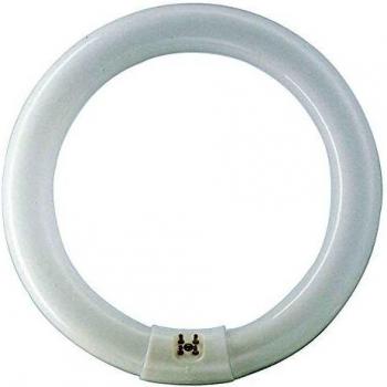 Philips Master TL-E 36W Anello