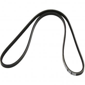 V-Ribbed Belt for RENAULT:CLIO MIO II,LUTECIA II,CLIO Mk II,CLIO II,KANGOO,