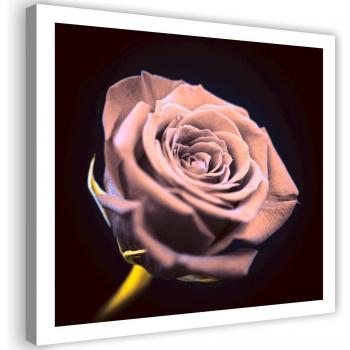 Mystic Rose Canvas 30x30