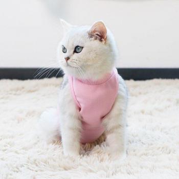 Cotton Cat Recovery Suit