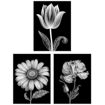 Black & White Spring Elegance: Three-Piece Living Room Poster Pack