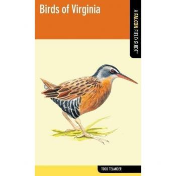 Falcon Guide : Birds of Virginia, by Todd Telander