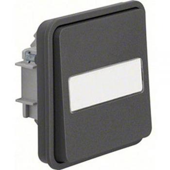 Berker 50763555 Taster, Wechsler Beschrift AP