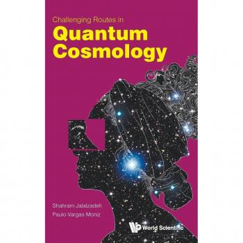 CHALLENGING ROUTES IN QUANTUM COSMOLOGY