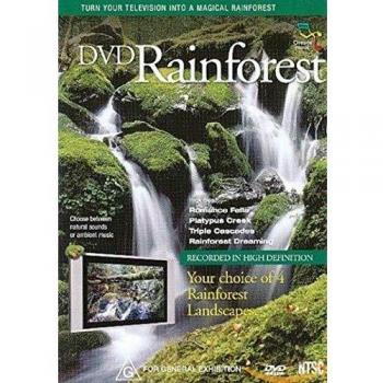 Rainforest