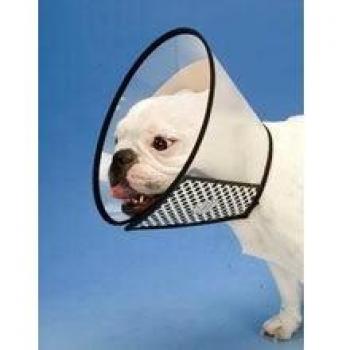 Freedog Protective Elizabethan Dog Collar