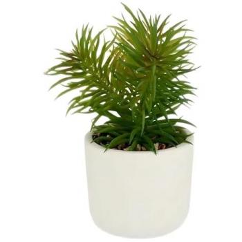 Pianta Decorativa Blanc Vert (14 x 20 x 14 cm) (12 Unità)
