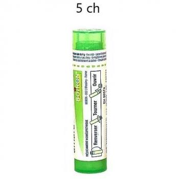 Lachesis Mutus 5CH Tube