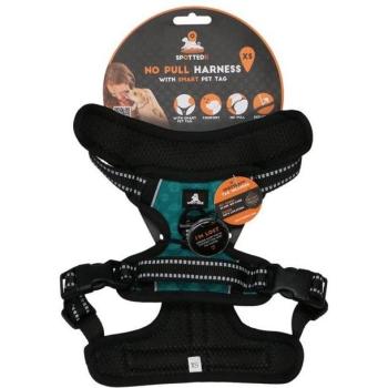Spotted Pro Spotted! PRO Grüne XS-Hundehalsband-Leine-Menge