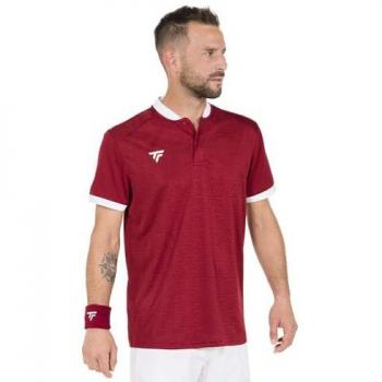 Pánské tenisové polo tričko Tecnifibre Team