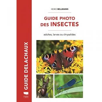 Guide photo des insectes