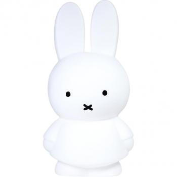 Atelier Pierre Miffy Spardose Pur Groß