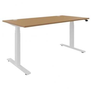Bureau Frankel Assis-Debout Droit