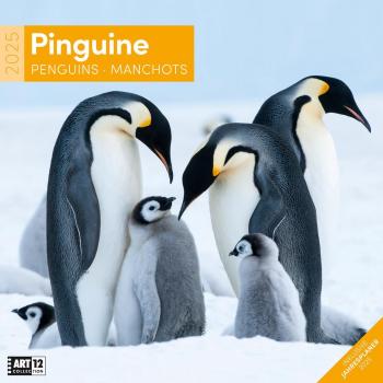 Pinguine Kalender 2025
