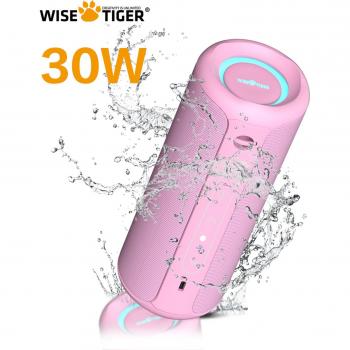 Deeyaple P3 Pro 30W IPX7 Wireless Sound System