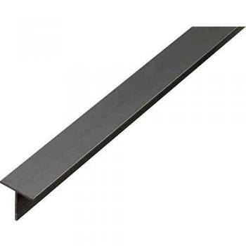 Kaiserthal Profilo T 20x20x1,5mm 2m Argento