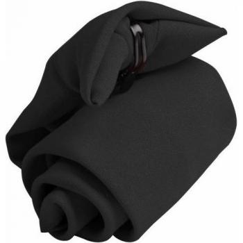 Corbata Profesional con Clip