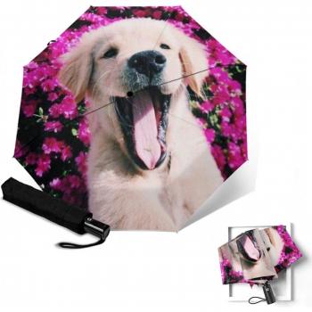 Cute Dog Sunshade Umbrella