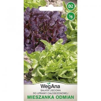 Mix di semi per insalata verde 1g