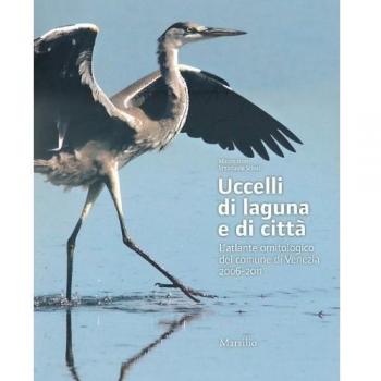 Uccelli di laguna e di città. L'atlante ornitologico nel comune di Venezia 2006-2011. Ediz. illustrata