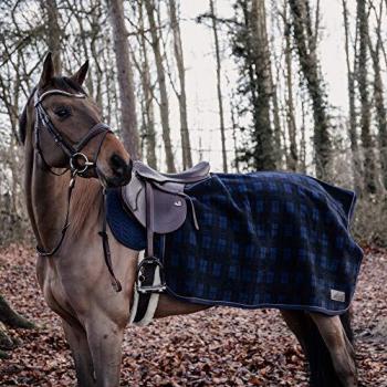 Polar Square Equine Blanket Kentucky