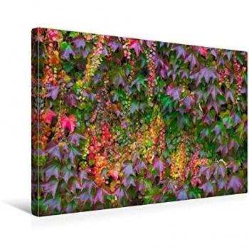Exklusive Leinwand „Wilder Wein“ in Textiloptik – 45 × 30 cm