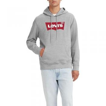 Levi's® Hoodie »STANDARD GRAPHIC HOOD«, mit Kängurutasche