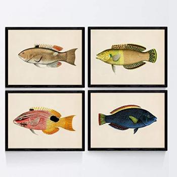 Set de 4 Láminas A4 con Peces Coloridos Vintage