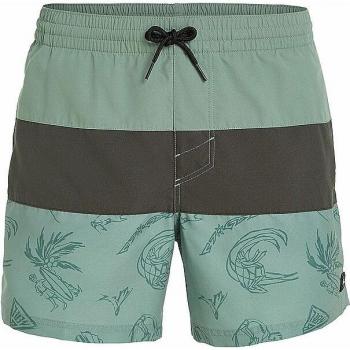 O'NEILL Herren Badehose Cali Block 15'' hellgrün | XL