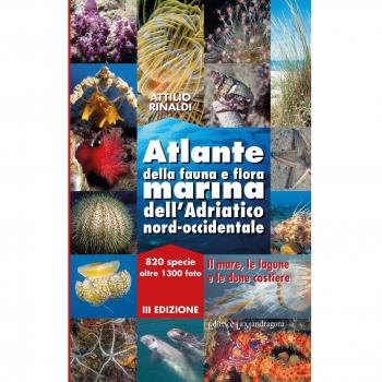 Atlante della fauna e flora marina dell'Adriatico nord-occidentale
