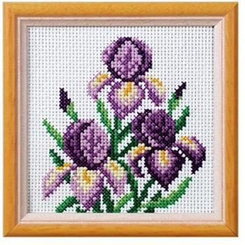Groves & Thames XSTITCH: Iris (Orchid) – Black Edition