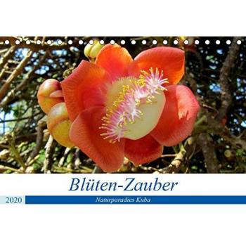 Blüten-Zauber