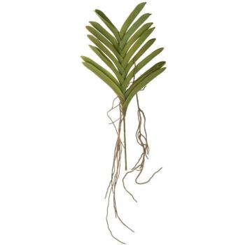 Vanda Orchidea Finta 70 cm, Due Esemplari Verdi