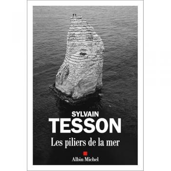 Les Piliers de la mer: Roman