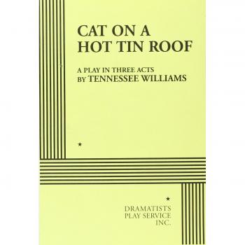 Cat on a Hot Tin Roof