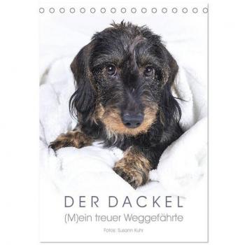 Der Dackel (M)ein treuer Weggefährte (Tischkalender 2025 DIN A5 hoch), CALVENDO Monatskalender