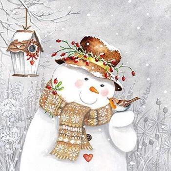 Festive Snowman Napkin Pack – 33 cm Snowman & Robin Serving Tray