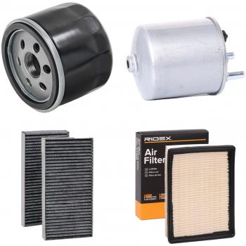 RIDEX 4055F30038 Filterkomplex – Partikelkontrolle