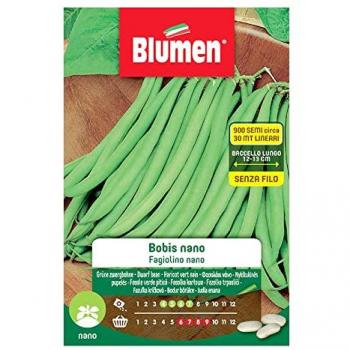 Semi Fagiolino Nano Bobis Blumen Bustina