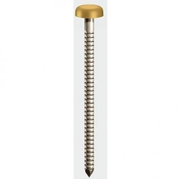 TIMCO Polymer Headed Nail 30mm