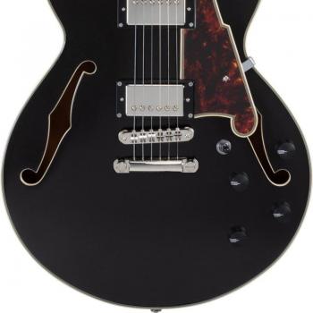DAngelico Premier SS Schwarz Funkeln V2