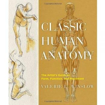 Classic Human Anatomy : The Artist's Guide to Form, Function, and Movement