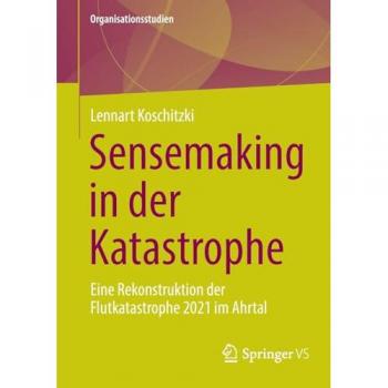 Koschitzki, Lennart: Sensemaking in der Katastrophe